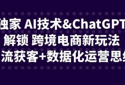 独家 AI技术ChatGPT解锁 跨境电商新玩法，引流获客 数据化运营思维-创艺项目网