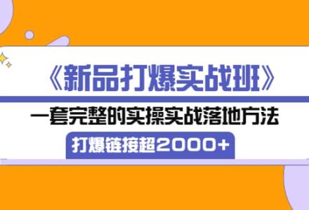 《新品打爆实战班》一套完整的实操实战落地方法，打爆链接超2000 （38节课)-创艺项目网