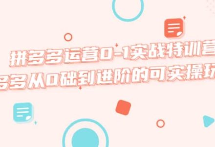 拼多多运营0-1实战特训营，拼多多从0础到进阶的可实操玩法-创艺项目网