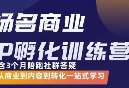 杨名商业IP孵化训练营，从商业到内容到转化一站式学 价值5980元-创艺项目网