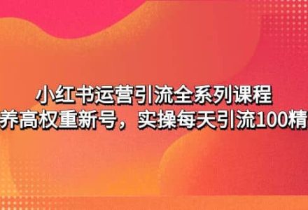 小红书运营引流全系列课程：教你养高权重新号-创艺项目网