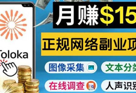 正规网络副业赚钱平台Toloka，利用业余时间月赚150美元-创艺项目网