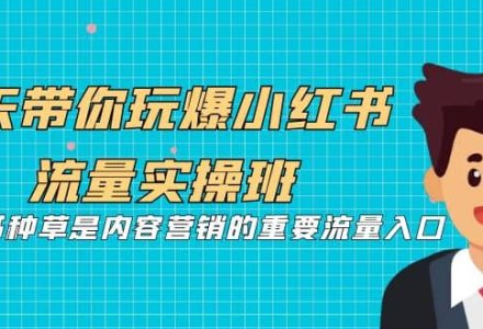 5天带你玩爆小红书流量实操班，小红书种草是内容营销的重要流量入口-创艺项目网