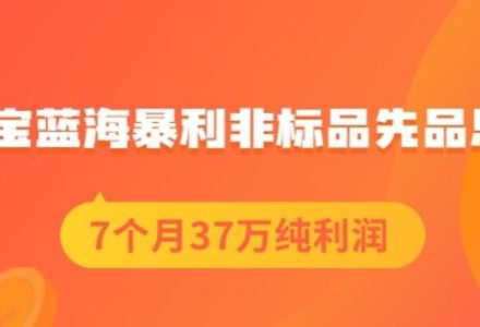 盗坤淘宝蓝海暴利非标品先品思路，7个月37万纯利润，压箱干货分享！【付费文章】-创艺项目网