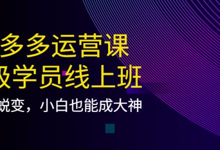 拼多多运营课：超级学员线上班，21天蜕变，小白也能成大神-创艺项目网