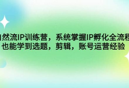 自然流IP训练营，系统掌握IP孵化全流程，也能学到选题，剪辑，账号运营经验-创艺项目网