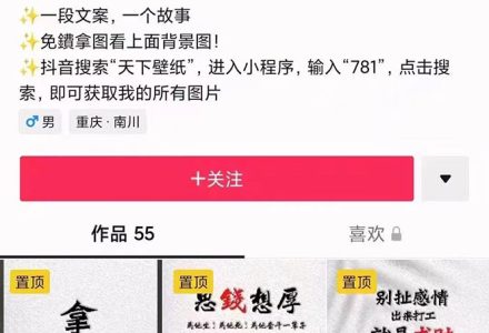 国潮壁纸变现项目，新手可操作日赚200 【素材 软件 教程】-创艺项目网