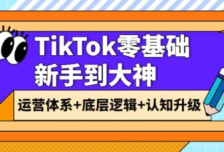 TikTok零基础新手到大神：运营体系 底层逻辑 认知升级（9节系列课）-创艺项目网