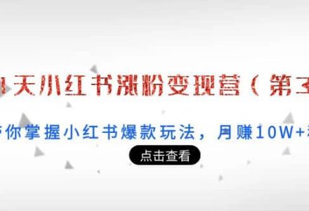 21天小红书涨粉变现营（第3期）：带你掌握小红书爆款玩法，月赚10W 秘密-创艺项目网