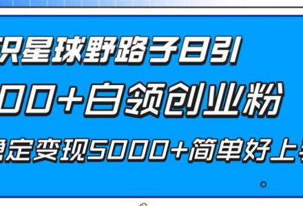 知识星球野路子日引300 白领创业粉，日稳定变现5000 简单好上手！-创艺项目网