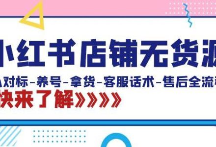 小红书店铺无货源：从对标-养号-拿货-客服话术-售后全流程（20节课）-创艺项目网