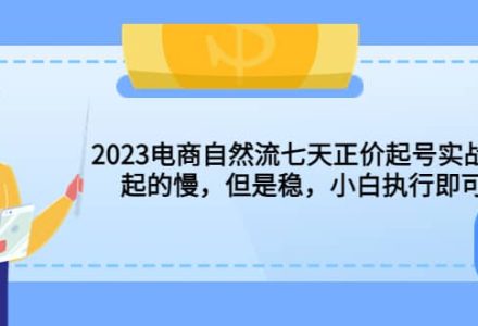 2023电商自然流七天正价起号实战课：起的慢，但是稳，小白执行即可-创艺项目网