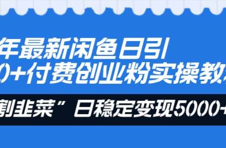 24年最新闲鱼日引200 付费创业粉，割韭菜每天5000 收益实操教程！-创艺项目网