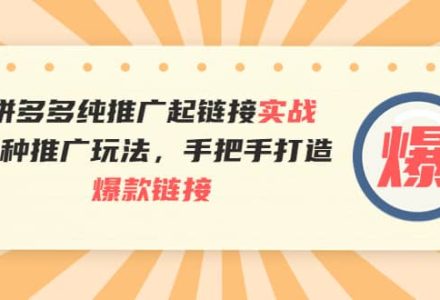 拼多多纯推广起链接实战：多种推广玩法，手把手打造爆款链接-创艺项目网