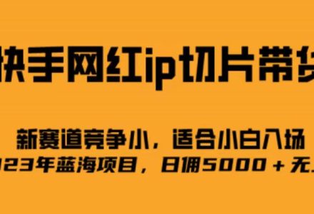 快手网红ip切片新赛道，竞争小事，适合小白 2023蓝海项目-创艺项目网