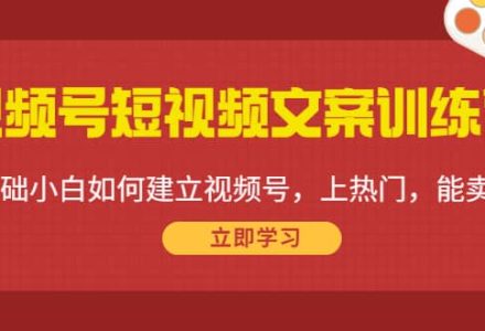 视频号短视频文案训练营：0基础小白如何建立视频号，上热门，能卖货！-创艺项目网