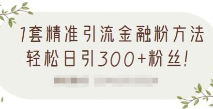 1套精准引流金融粉方法，轻松日引300 粉丝【视频课程】-创艺项目网