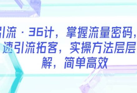 引流·36计，掌握流量密码，快速引流拓客，实操方法层层拆解，简单高效-创艺项目网