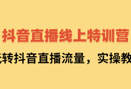 抖音直播线上特训营：玩转抖音直播流量，实操教学-创艺项目网