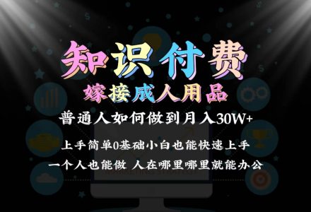 2024普通人做知识付费结合成人用品如何实现单月变现30w保姆教学1.0-创艺项目网