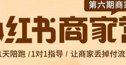 贾真-小红书商家营第6期商家版，21天带货陪跑课，让商家丢掉付流量-创艺项目网