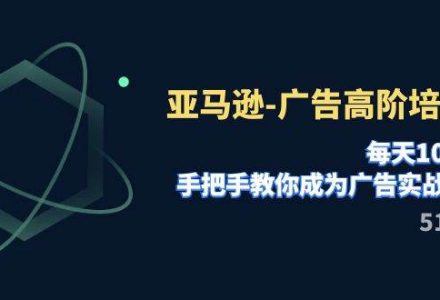 亚马逊-广告高阶培训班，每天10分钟，手把手教你成为广告实战高手（51节）-创艺项目网