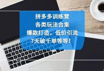 拼多多训练营：各玩法合集，爆款打造，低价引流，7天破千单等等-创艺项目网