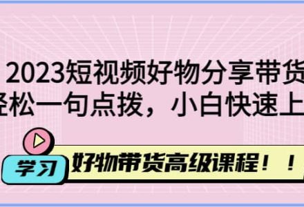 2023短视频好物分享带货，好物带货高级课程，轻松一句点拨，小白快速上手-创艺项目网