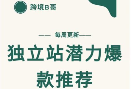 【跨境B哥】独立站潜力爆款选品推荐，测款出单率高达百分之80（每周更新）-创艺项目网