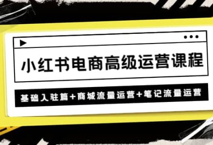 小红书电商高级运营课程：基础入驻篇 商城流量运营 笔记流量运营-创艺项目网