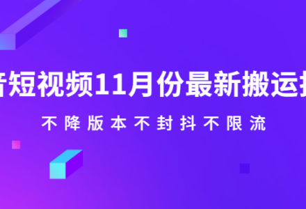 抖音短视频11月份最新搬运技术，不降版本不封抖不限流！【视频课程】-创艺项目网