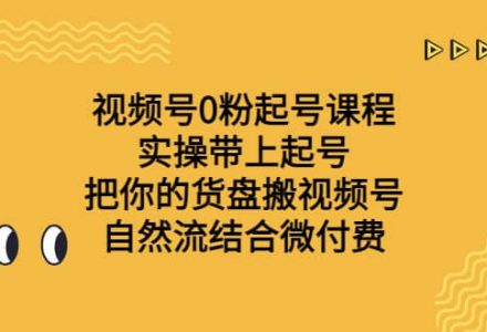 视频号0粉起号课程 实操带上起号 把你的货盘搬视频号 自然流结合微付费-创艺项目网