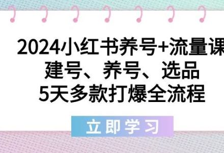 2024小红书养号+流量课：建号、养号、选品，5天多款打爆全流程-创艺项目网