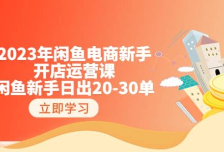 2023年闲鱼电商新手开店运营课：闲鱼新手日出20-30单（18节-实战干货）-创艺项目网