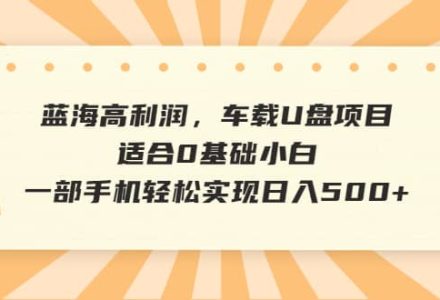 蓝海高利润，车载U盘项目，适合0基础小白，一部手机轻松实现日入500-创艺项目网