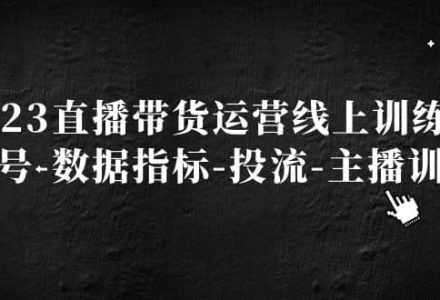 2023直播带货运营线上训练营，起号-数据指标-投流-主播训练-创艺项目网