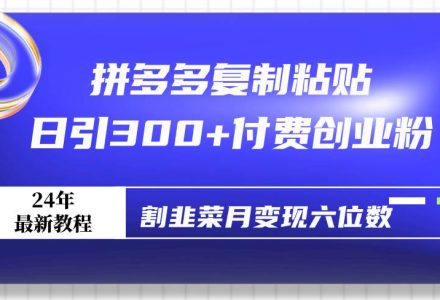 拼多多复制粘贴日引300+付费创业粉，割韭菜月变现六位数最新教程！-创艺项目网