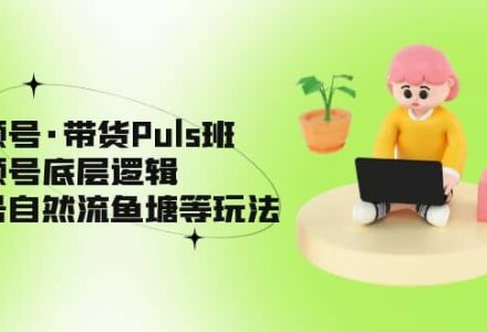 视频号·带货Puls班，视频号底层逻辑，起号自然流鱼塘等玩法-创艺项目网