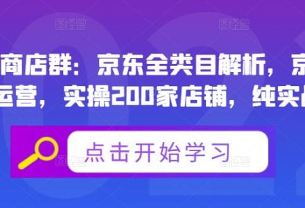 贝千电商店群：京东全类目解析，京东店群专业运营，实操200家店铺，纯实战经验-创艺项目网