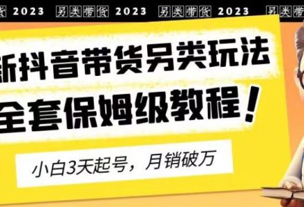 2023年最新抖音带货另类玩法，3天起号，月销破万（保姆级教程）【揭秘】-创艺项目网