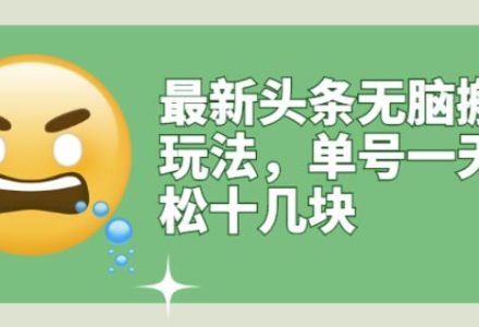 最新头条无脑搬运玩法，单号一天轻松十几块【视频教程 搬运软件】-创艺项目网