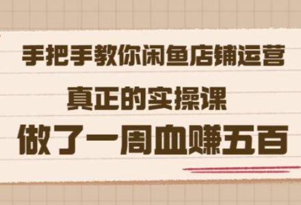 2022版《手把手教你闲鱼店铺运营》真正的实操课做了一周血赚五百(16节课)-创艺项目网