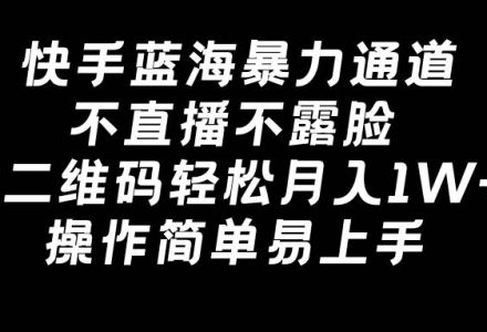 快手蓝海暴力通道，不直播不露脸，靠二维码轻松月入1W+，操作简单易上手-创艺项目网