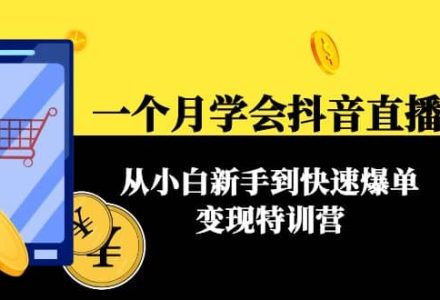 一个月学会抖音直播带货：从小白新手到快速爆单变现特训营(63节课)-创艺项目网