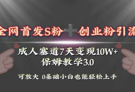 全网首发s粉加创业粉引流变现，成人用品赛道7天变现10w 保姆教学3.0-创艺项目网