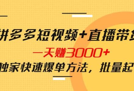 拼多多短视频 直播带货，一天赚3000 独家快速爆单方法，批量起号-创艺项目网