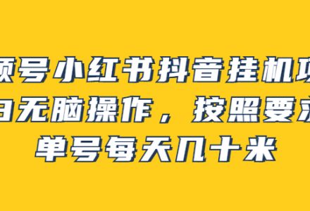 视频号小红书抖音挂机项目，小白无脑操作，按照要求来，单号每天几十米-创艺项目网