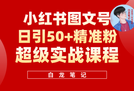 小红书图文号日引50 精准流量，超级实战的小红书引流课，非常适合新手-创艺项目网