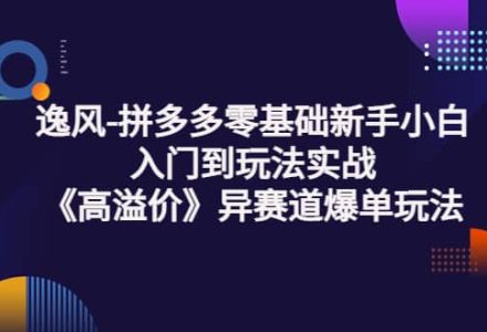 拼多多零基础新手小白入门到玩法实战《高溢价》异赛道爆单玩法实操课-创艺项目网