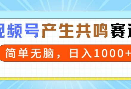 2024年视频号，产生共鸣赛道，简单无脑，一分钟一条视频，日入1000+-创艺项目网